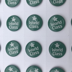 WCSQM clutch pin badge